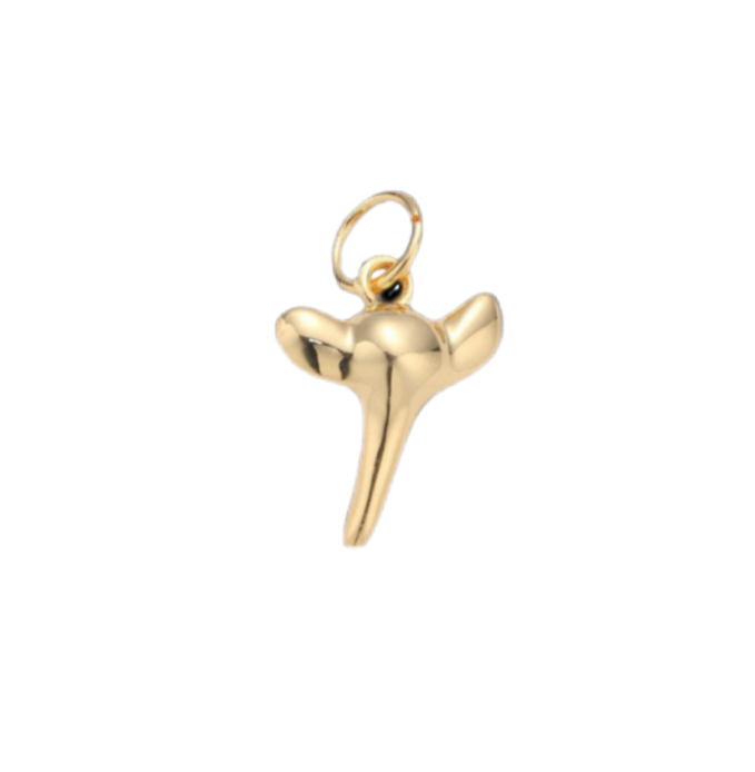 Shark Tooth Charm