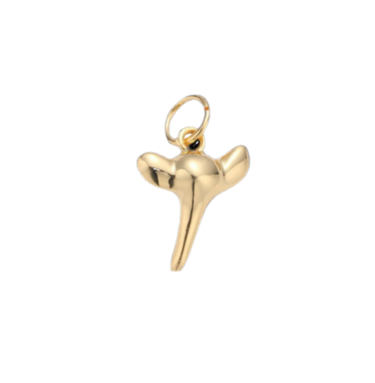 Shark Tooth Charm