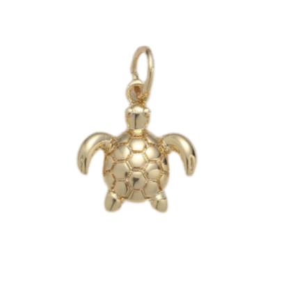 Sea Turtle Charm