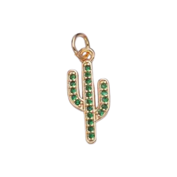 Cactus Charm